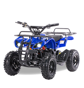Квадроцикл MOTAX Mini Grizlik Х-16 800W (Синий)